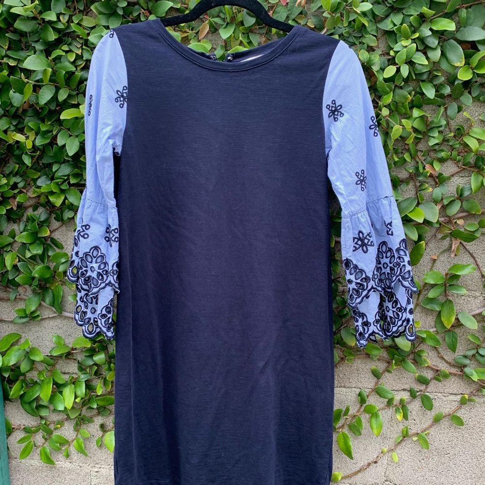 LOFT | XSP Embroidered Sleeve Dress